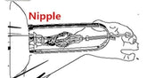 Immobilizer Nipple Clamp and Stretcher